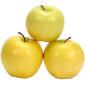 Délicieuse pomme de pomme d&#39;or délicieuse douce